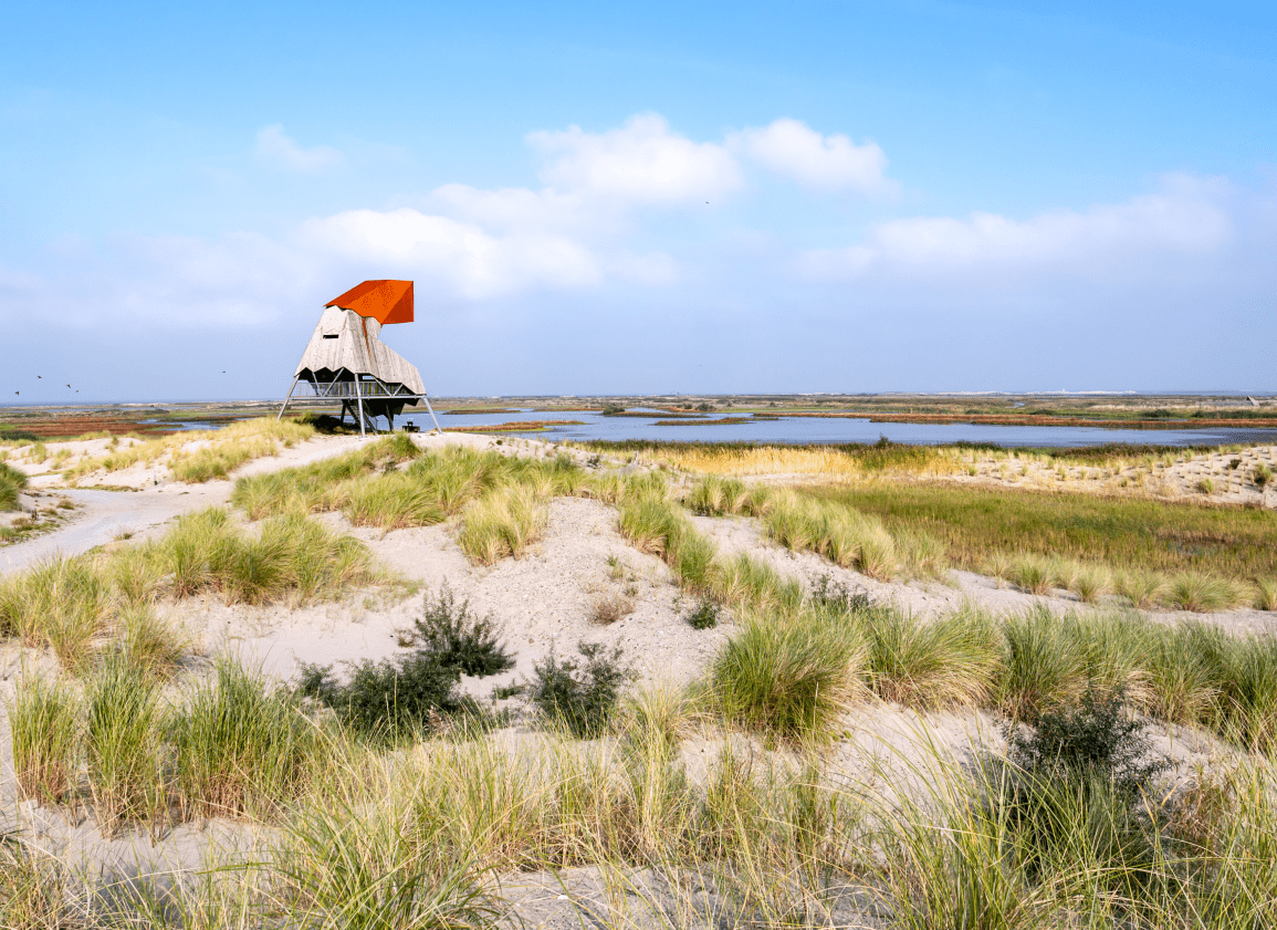 0908 wadden